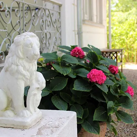 Sanssouci Schwalbennest * 宾茨